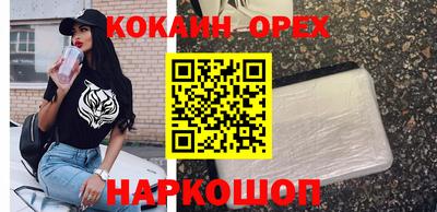 тгк Партизанск