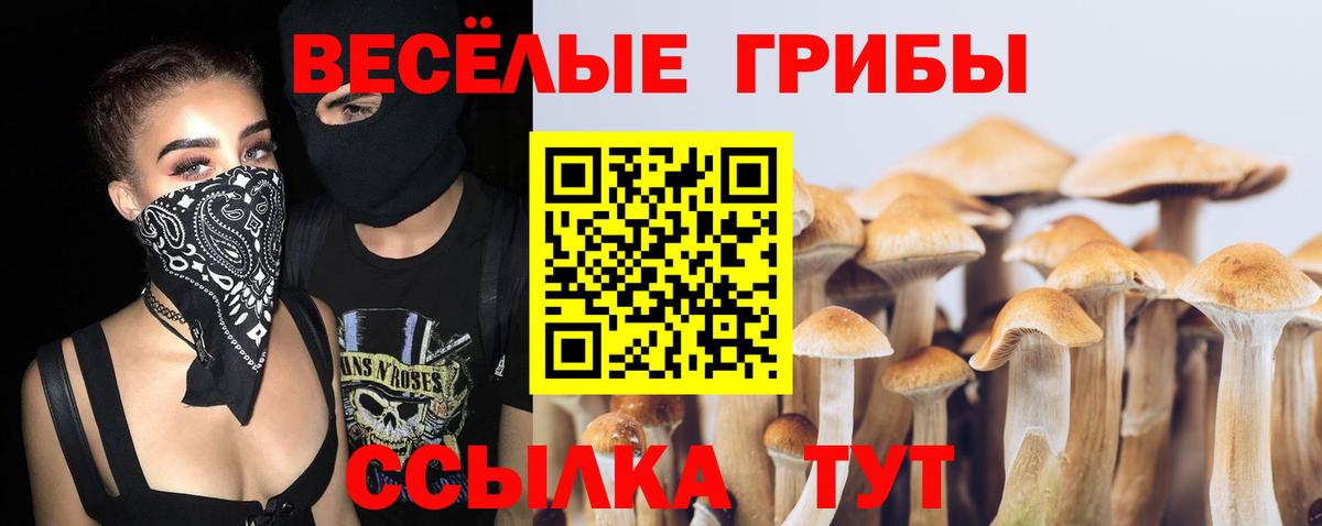 Псилоцибиновые грибы Psilocybe Сыктывкар